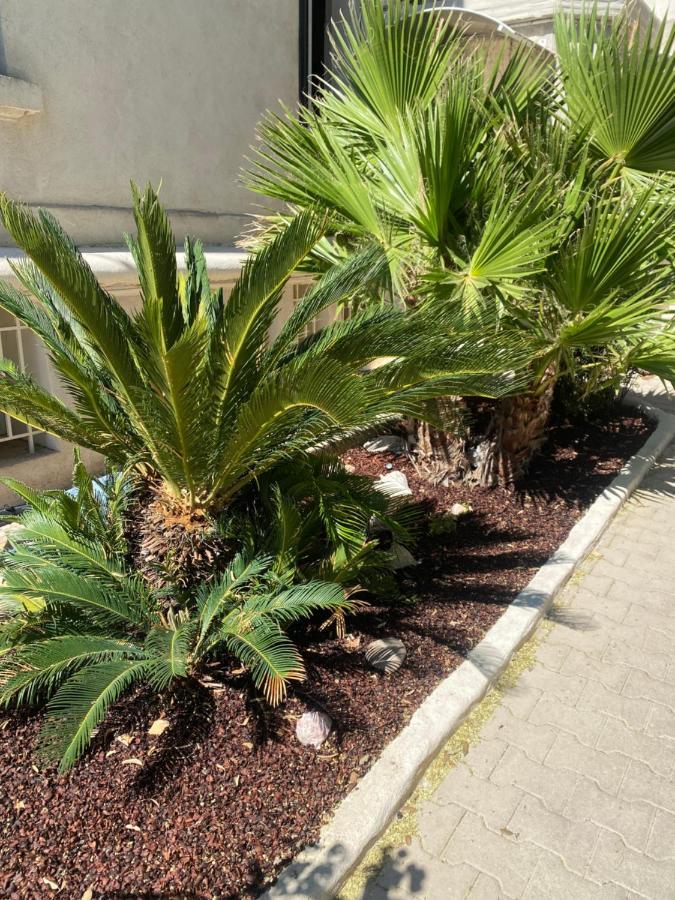 Casa Cacao près plage et vélodrome Marsiglia Esterno foto